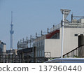 Railways and Tokyo Skytree 137960440