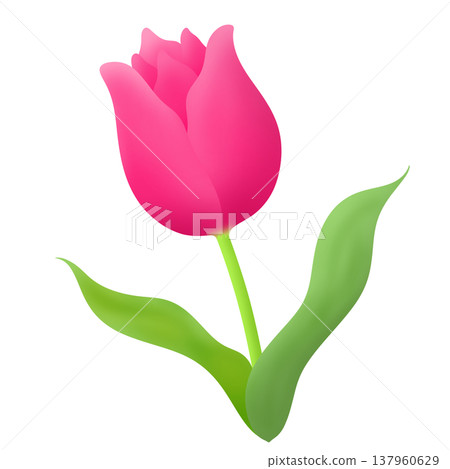 春季鬱金香 137960629