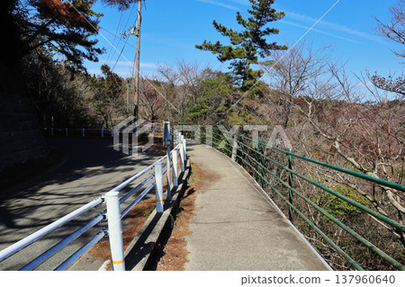 Roads on Mount Rokko (Hyogo Prefecture) 137960640