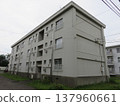 Renovated and painted apartment complex 137960661
