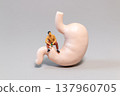 Miniature Man Sitting on Stomach Model Holding Bottle Concept of Alcohol and Gastric Health 137960705