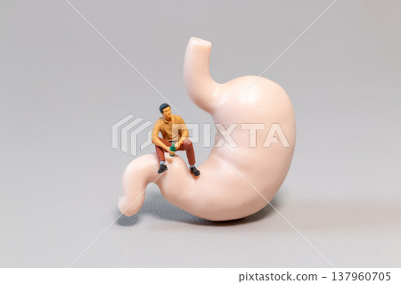 Miniature Man Sitting on Stomach Model Holding Bottle Concept of Alcohol and Gastric Health Miniature Man Sitting on Stomach Model Holding Bottle Concept of Alcohol and Gastric Health 137960705