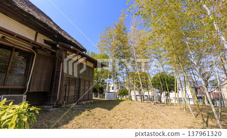 Old houses 137961320