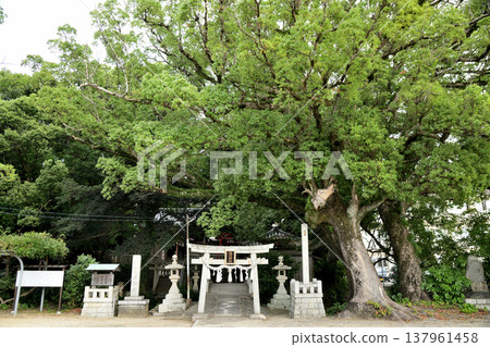 Yukawa Koyasu Shrine [Gobō City, Wakayama Prefecture] 137961458