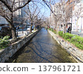 Kyoto  137961721
