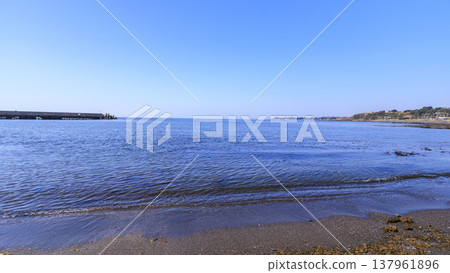 三浦半島三浦市三濱的冬季 137961896