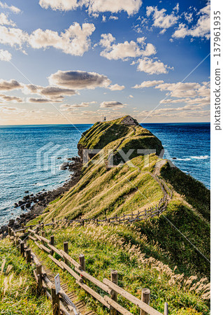 積丹藍和神威岬山脊：北海道著名景點，天空和大海在你面前無限延伸。 137961935