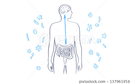 Gut Brain Connection 137961958