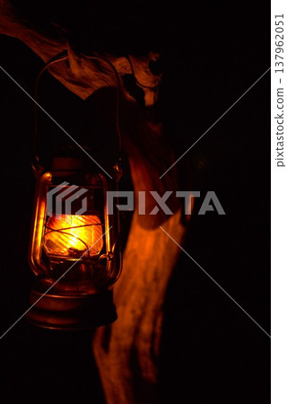Lantern light 137962051