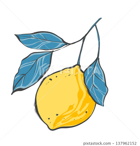Single yellow lemon fruit on branch with contrasting blue leaves in original hand drawn illustration 137962152