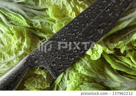 Kitchen knife with water drops on a fresh Chinese cabbage leaves. 137962212