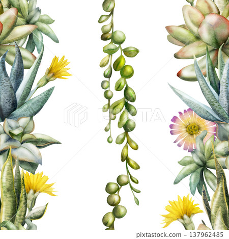 Seamless striped botanical pattern of daisy flowers, sedum, sansevieria rosette succulents, curio hanging vine plants. Isolated illustration hand drawn in watercolor. Home decor textile, eco packaging 137962485
