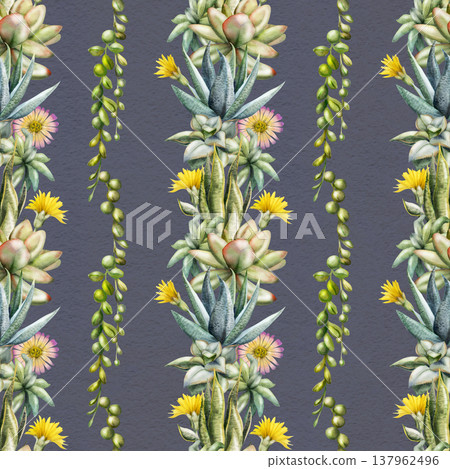 Flowering rosette succulents with stripes of trailing leafy curio string of pearls vines. Aloe vera, sansevieria snake plant, echeveria. Seamless pattern hand drawn in watercolor. Eco home textiles 137962496