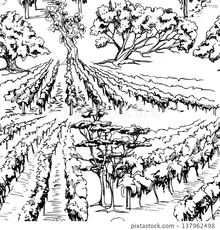 Wine region field landscape, scenic vista with grapevine rows, Mediterranean trees and plants. Hand drawn seamless pattern. Vector illustration in ink. Fabric prints, packaging, digital backgrounds. 137962498