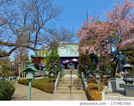光藏院寺正殿 137962560