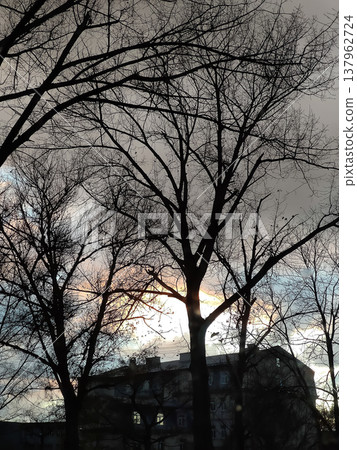 Downtown streets. Winter season and moody city charm. Downtown streets. Winter season and moody city charm. 137962724
