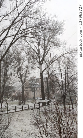 Downtown streets. Winter season and moody city charm. Downtown streets. Winter season and moody city charm. 137962727