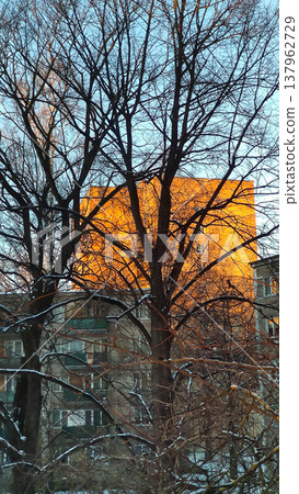 Downtown streets. Winter season and moody city charm. Downtown streets. Winter season and moody city charm. 137962729