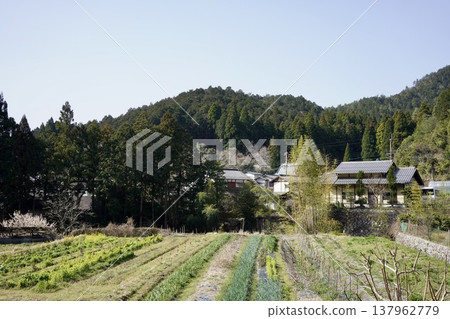 寧靜的田園風光 寧靜的田園風光 137962779