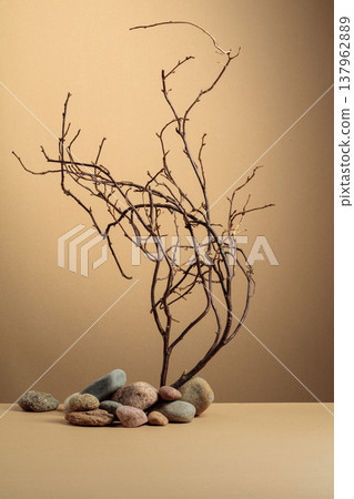 An intricately entwined branches and smooth stones against a beige background. An intricately entwined branches and smooth stones against a beige background. 137962889