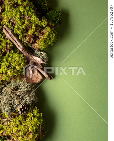 Abstract north nature scene with a composition of lichen, moss, and old snags on a green background. 137962907
