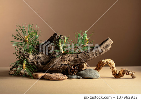 Abstract nature scene with a composition of pine branches, stones, and dry snags. 137962912
