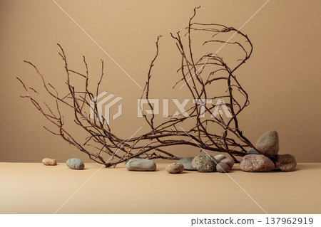 An intricately entwined branches and smooth stones against a beige background. An intricately entwined branches and smooth stones against a beige background. 137962919