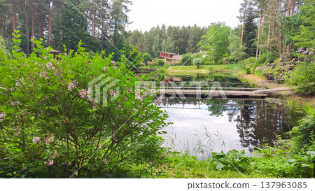Trees and greenery frame a sunlit pond in the park. A feeling of harmony and leisure. Trees and greenery frame a sunlit pond in the park. A feeling of harmony and leisure. 137963085