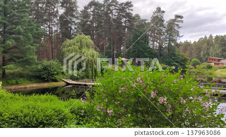 Bright daylight illuminates a tranquil park landscape with water. Freshness and seasonal renewal. Bright daylight illuminates a tranquil park landscape with water. Freshness and seasonal renewal. 137963086