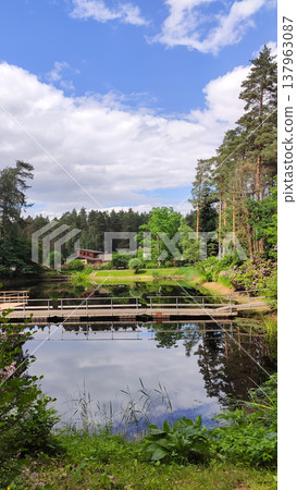 Bright daylight illuminates a tranquil park landscape with water. Freshness and seasonal renewal. Bright daylight illuminates a tranquil park landscape with water. Freshness and seasonal renewal. 137963087