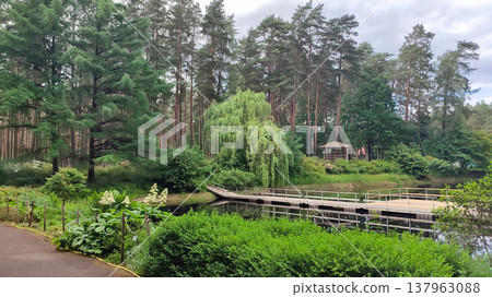 Bright daylight illuminates a tranquil park landscape with water. Freshness and seasonal renewal. Bright daylight illuminates a tranquil park landscape with water. Freshness and seasonal renewal. 137963088