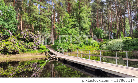 A scenic spring landscape features water and fresh greenery. Harmony and natural beauty. A scenic spring landscape features water and fresh greenery. Harmony and natural beauty. 137963114