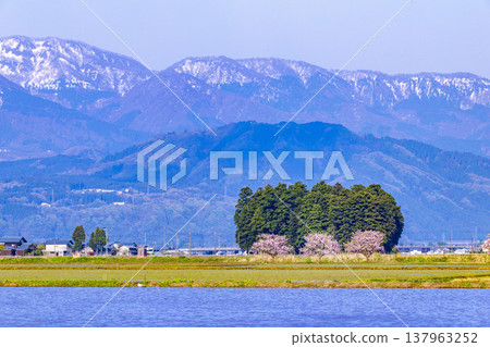 Snow-capped mountains and rice paddies in Ono City, Fukui Prefecture, with peach blossoms in full bloom. Snow-capped mountains and rice paddies in Ono City, Fukui Prefecture, with peach blossoms in full bloom. 137963252