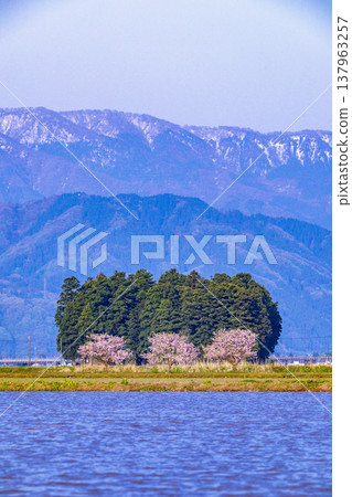 Snow-capped mountains and rice paddies in Ono City, Fukui Prefecture, with peach blossoms in full bloom. Snow-capped mountains and rice paddies in Ono City, Fukui Prefecture, with peach blossoms in full bloom. 137963257