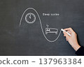 A person's hand drawing a sleep cycle and periodic table on a blackboard. 137963384