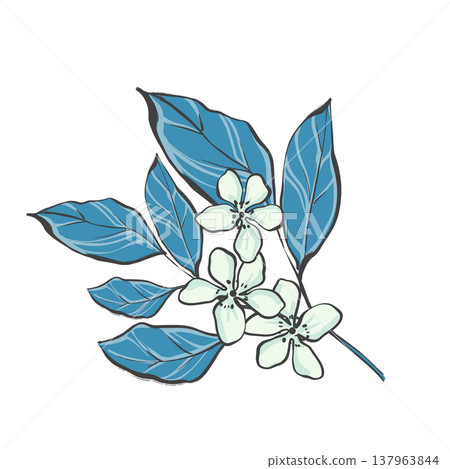 Hand drawn illustration of an elegant blooming branch with flowers and leaves in black line art style on white background. Botanical element for wedding invitations, logo design, wall art and 137963844