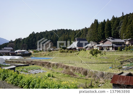 Rice paddies and rural settlements 137963898