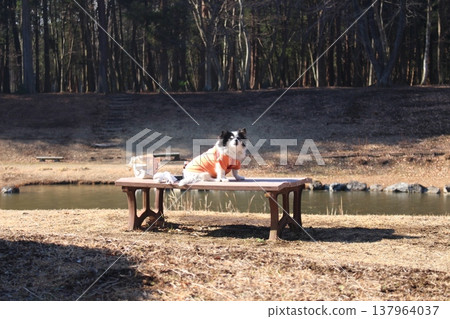 Mizuho Nature Forest Park Mizuho Nature Forest Park 137964037