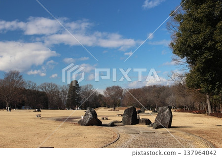 瑞穗自然森林公園 137964042