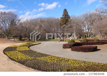 Mizuho Nature Forest Park 137964046
