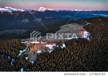 Beautiful landscape of spruce trees, deforested hill and snow-caped mountains under evening sky 137964185