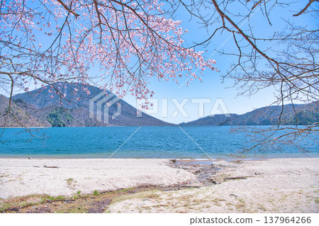栃木縣日光市：男體山、中禪寺湖，以及奧日光盛開的櫻花。 137964266