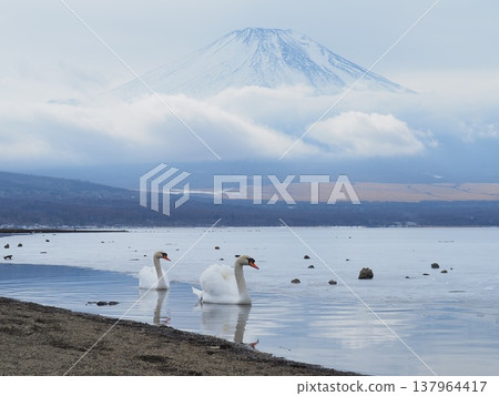 At Mount Fuji and Shiratori Yamanakako 137964417