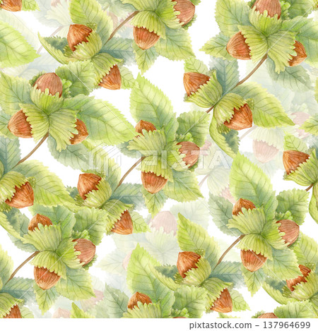 Autumn watercolor seamless pattern with hazelnuts and green leaves. Botanical woodland fall design for textile, wrapping paper. Autumn watercolor seamless pattern with hazelnuts and green leaves. Botanical woodland fall design for textile, wrapping paper. 137964699