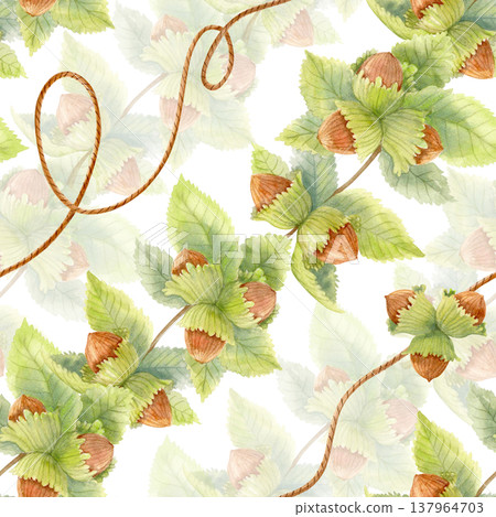 Autumn watercolor seamless pattern with hazelnuts, green leaves and twine strings. Botanical woodland fall design for textile. Autumn watercolor seamless pattern with hazelnuts, green leaves and twine strings. Botanical woodland fall design for textile. 137964703