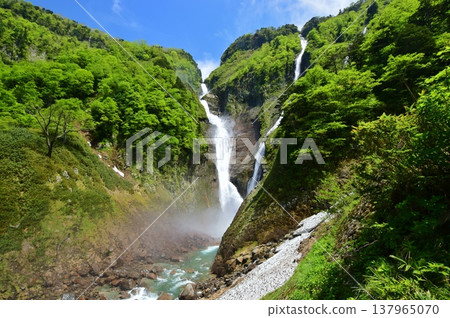 Tateyama Shomyo Waterfall Fresh Green Season 137965070
