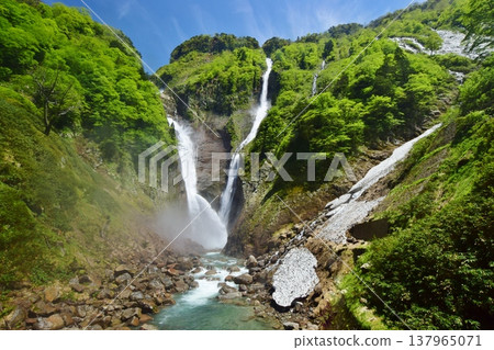 立山Shomyo瀑布鮮綠色季節 立山Shomyo瀑布鮮綠色季節 137965071