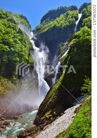 Tateyama Shomyo Waterfall Fresh Green Season 137965072