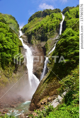 Tateyama Shomyo Waterfall Fresh Green Season Tateyama Shomyo Waterfall Fresh Green Season 137965076