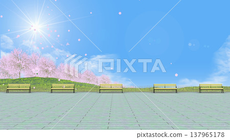 櫻花盛開的公園，營造出寧靜祥和的氛圍。簡潔的背景素材，可新增人物或文字。 137965178